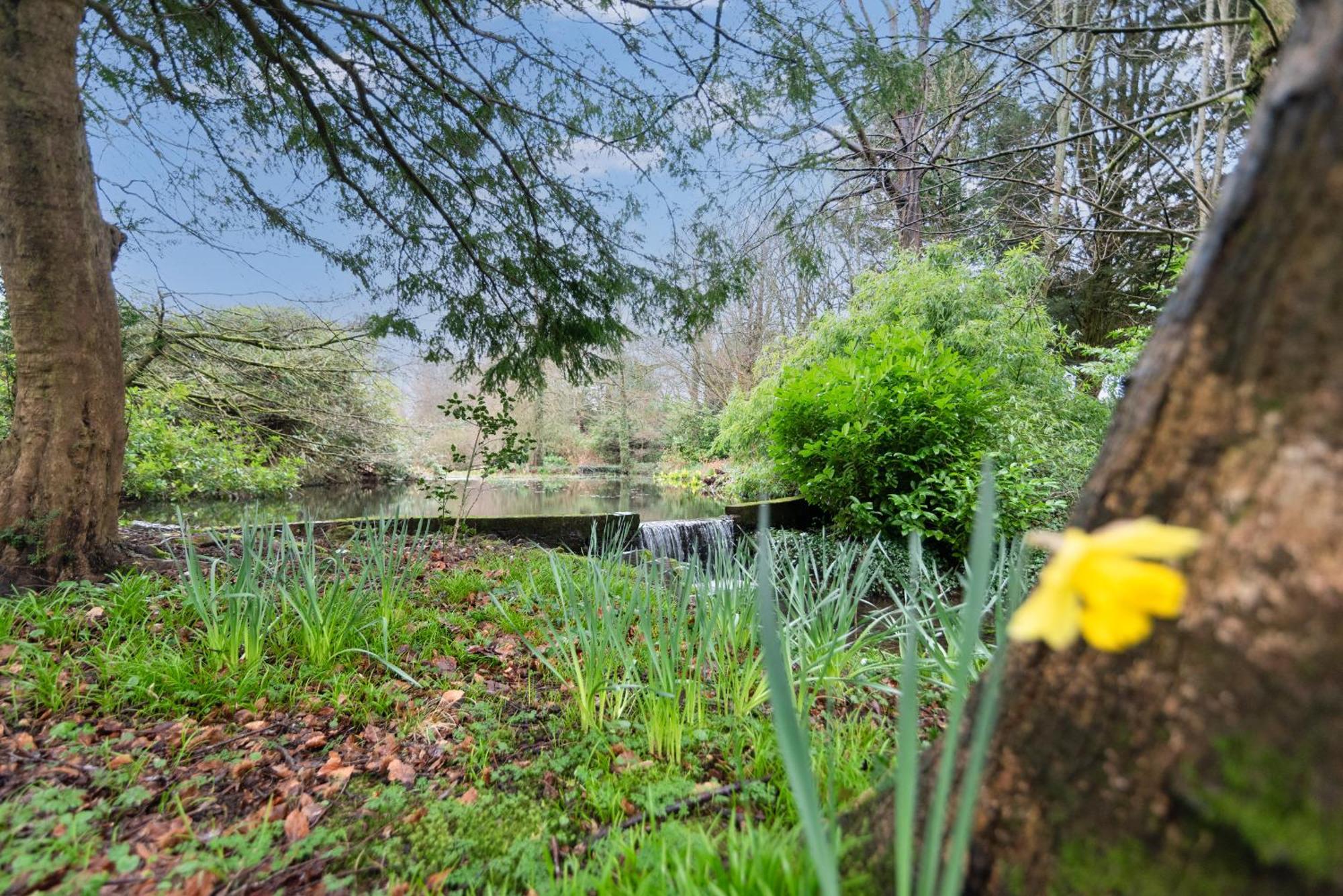 Goytre Hall Abergavenny Luaran gambar